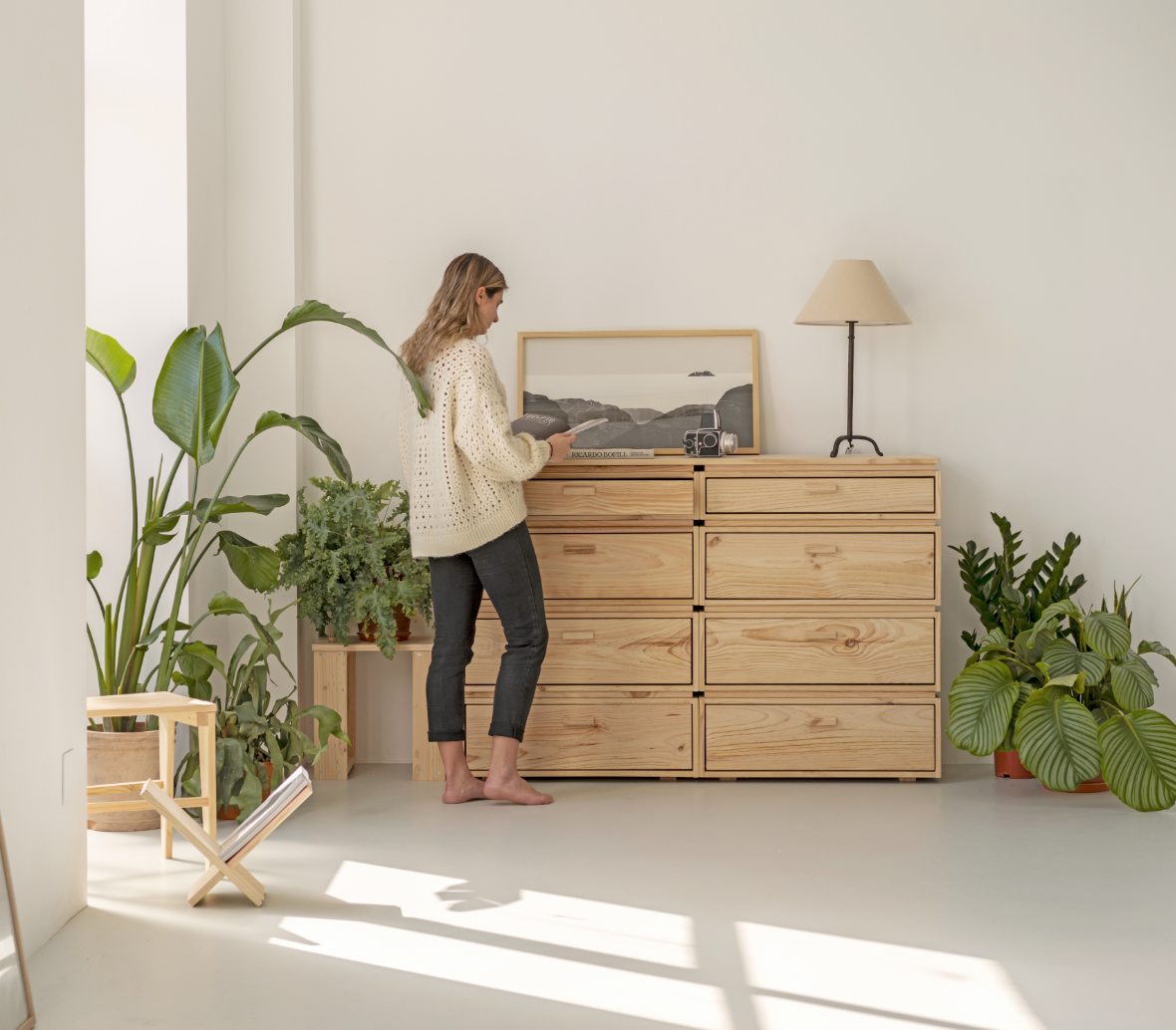 Descubre nuestras cómodas